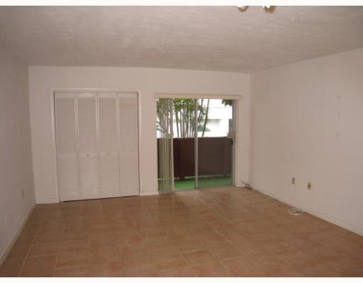 Image-6