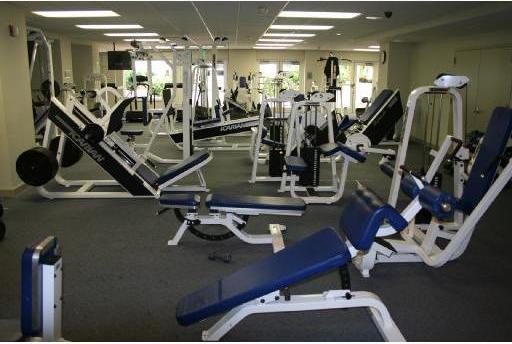 Image-5