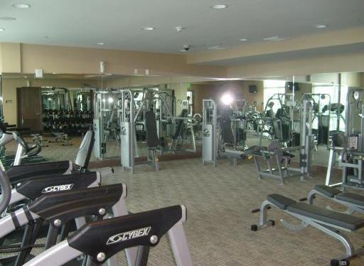 Image-1